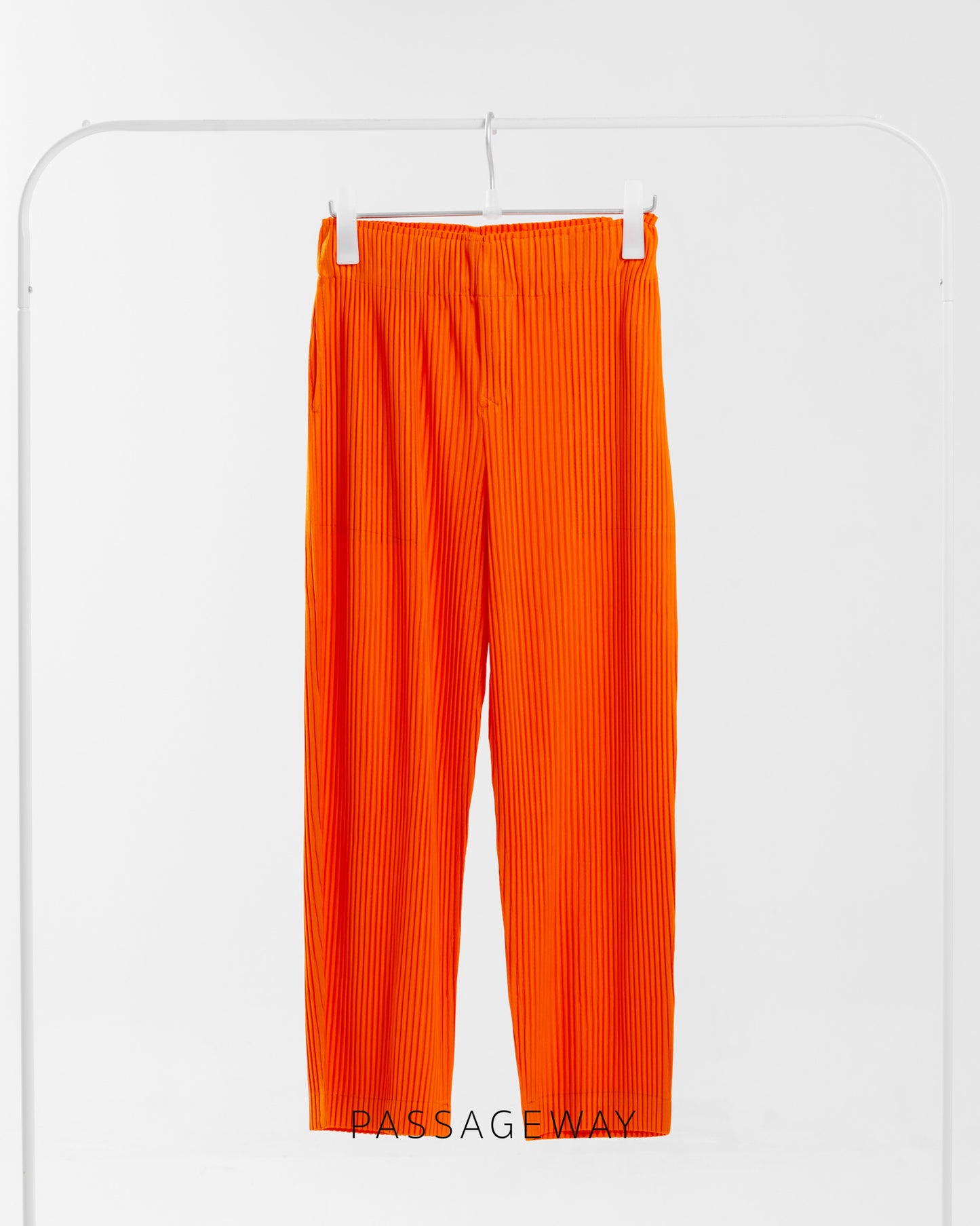 Pleated Trousers