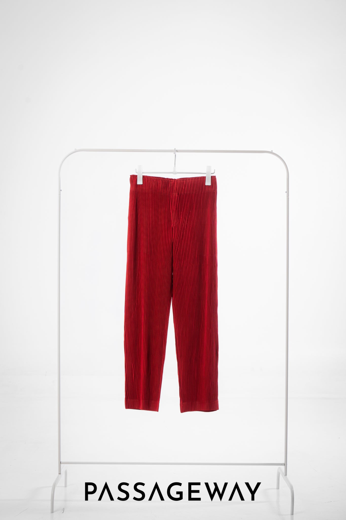 Pleated Trousers