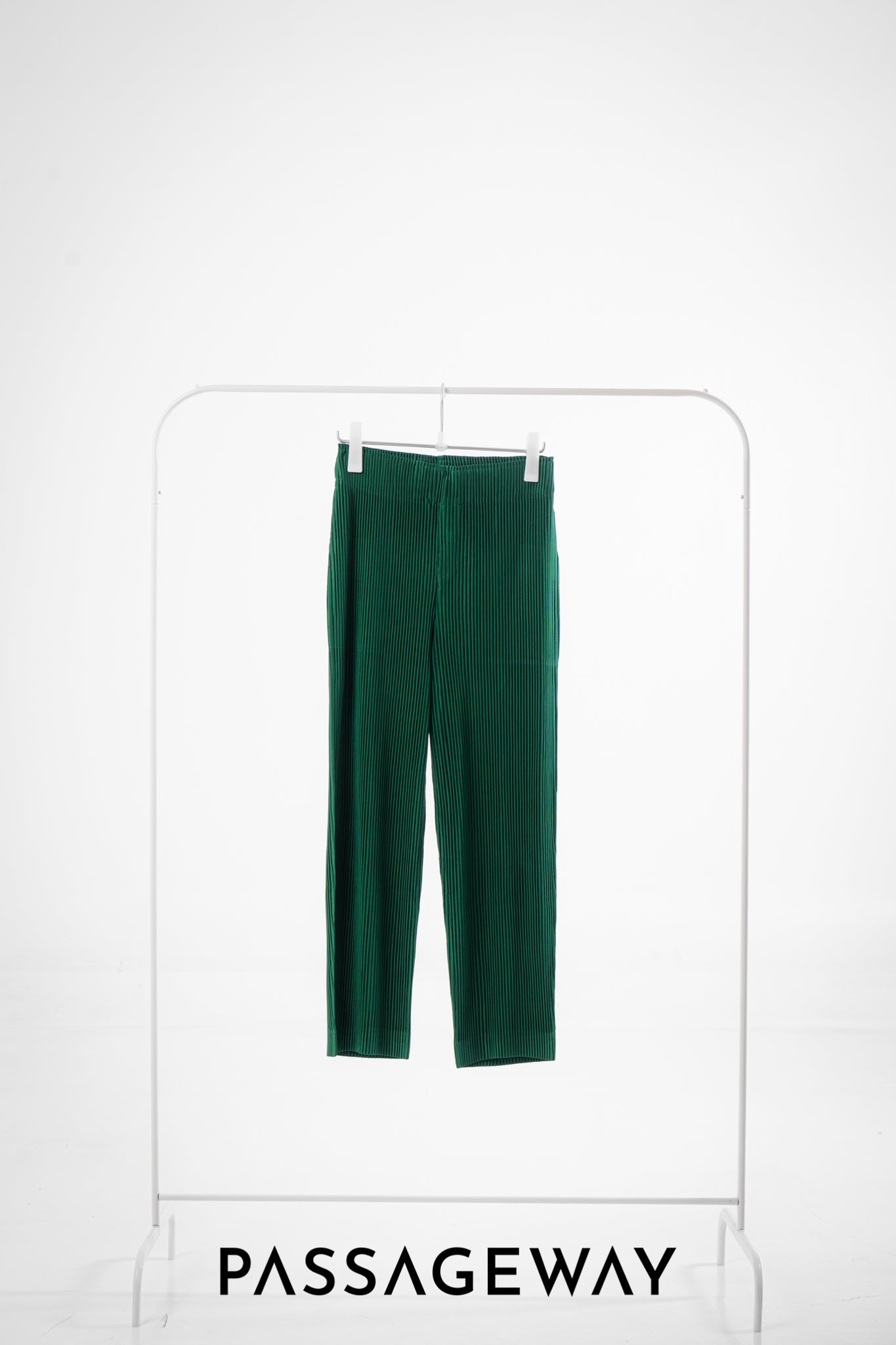Pleated Trousers